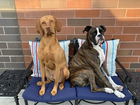 Esther and Lincoln
