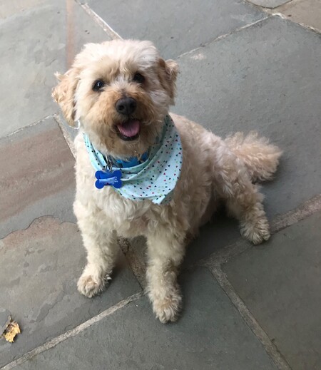 Dudley