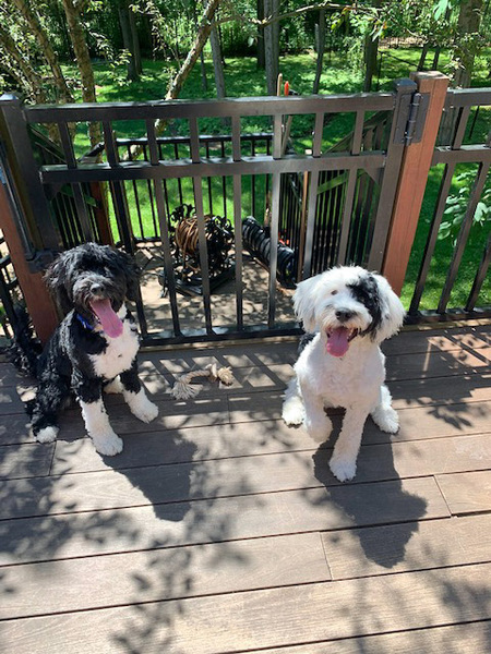 Brothers Buddy and Harry