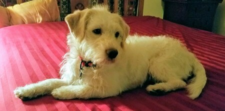Murphy