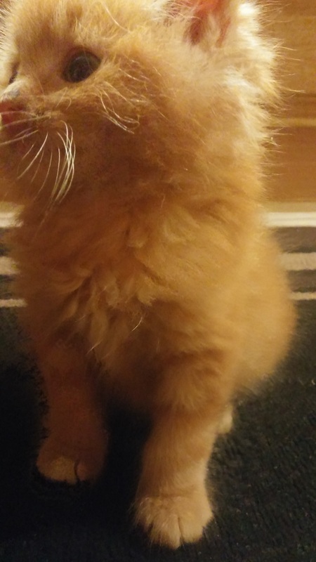 Mufasa