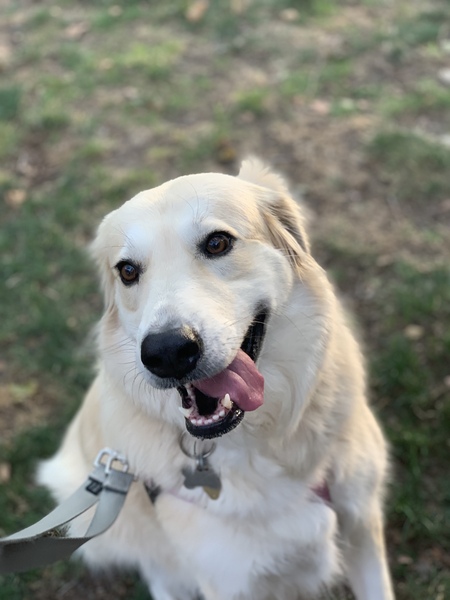 Lucy