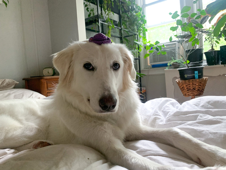 Winnie