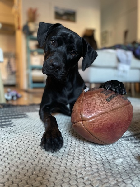 Gus