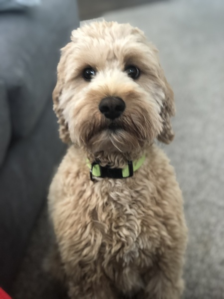  Charlie 