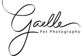 Gaelle Pet Photography 