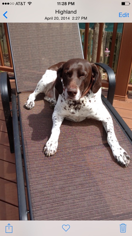 Baxter
