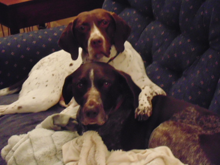 Blitz & Luna