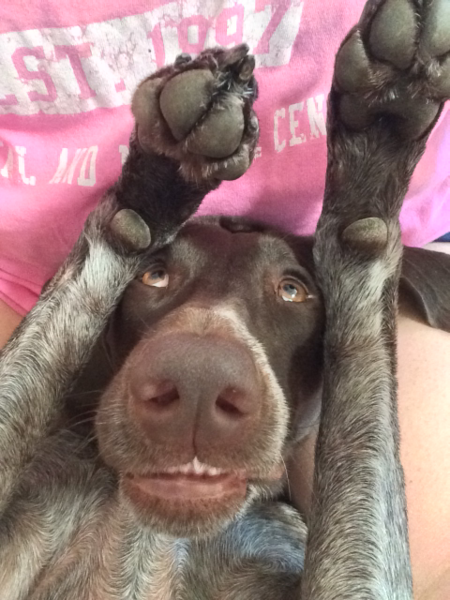 Darby