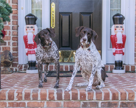 Gracie and Fletcher