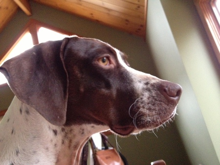Tallulah
