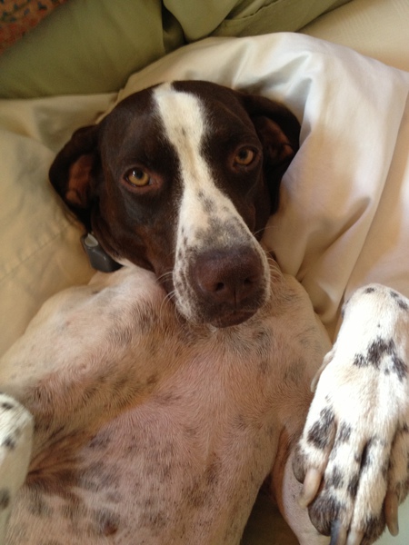 Tallulah