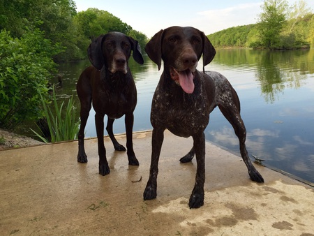 Maddie and Piper