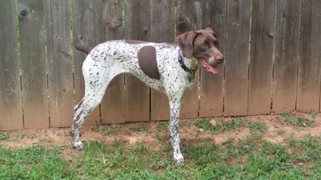 Greta