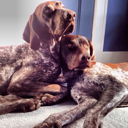 Emma & Levi The GSHP