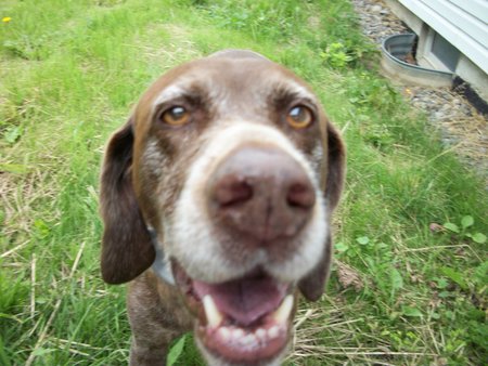 Molly