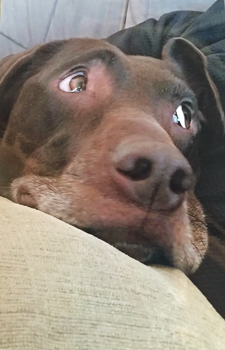 Marley