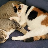 Entry image for Duncan and Benny