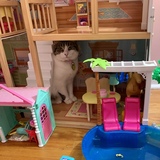 Entry image for Sassy