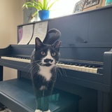 Entry image for Freddie Merkitty 