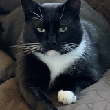 Entry image for  Ben