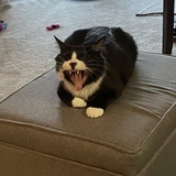 Entry image for Bobby McGee