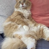 Entry image for Malone