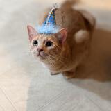 Entry image for Haru