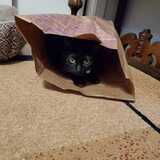 Entry image for Coal