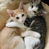 Entry image for Sonny & Phil