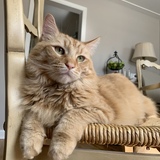 Entry image for Bobby