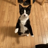 Entry image for Chloe