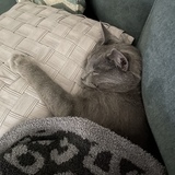 Entry image for Rhodey (formerly Jeremy)