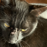 Entry image for Jack