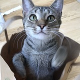 Entry image for Billy