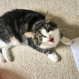 Entry image for Hannah