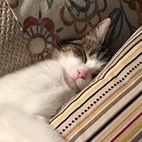 Entry image for Miss Daisy