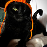 Entry image for Herman Grey (formerly Grayson)