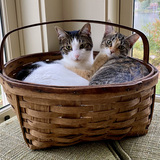 Entry image for Peter and Poppy