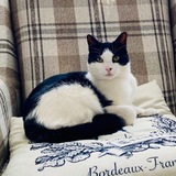 Entry image for Elouise 