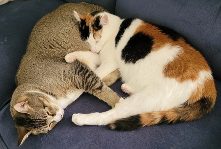 Entry image for Duncan and Benny. Clicking this image will show a larger photo