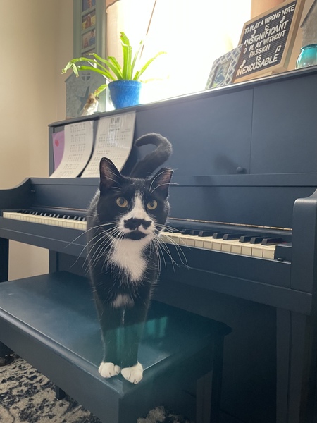 Entry image for Freddie Merkitty . Clicking this image will show a larger photo