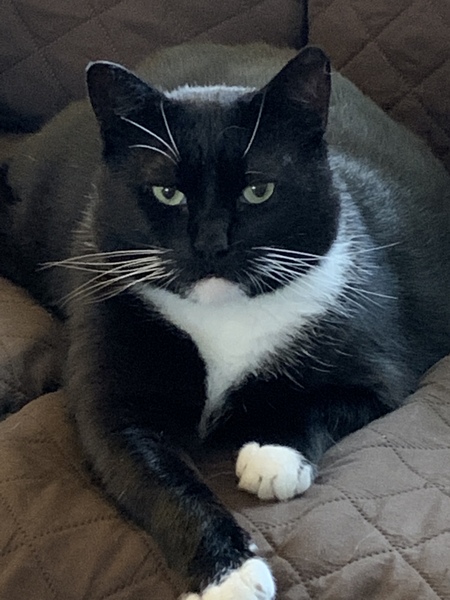 Entry image for  Ben. Clicking this image will show a larger photo