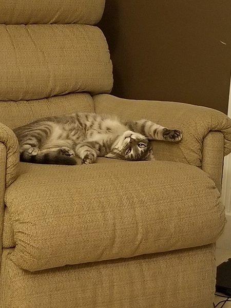 Entry image for Mable. Clicking this image will show a larger photo