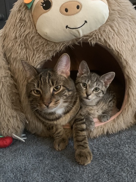 Entry image for Jimmy and Jewels. Clicking this image will show a larger photo