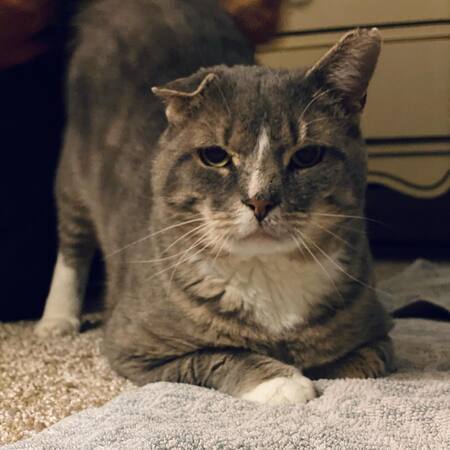 Entry image for Bud. Clicking this image will show a larger photo