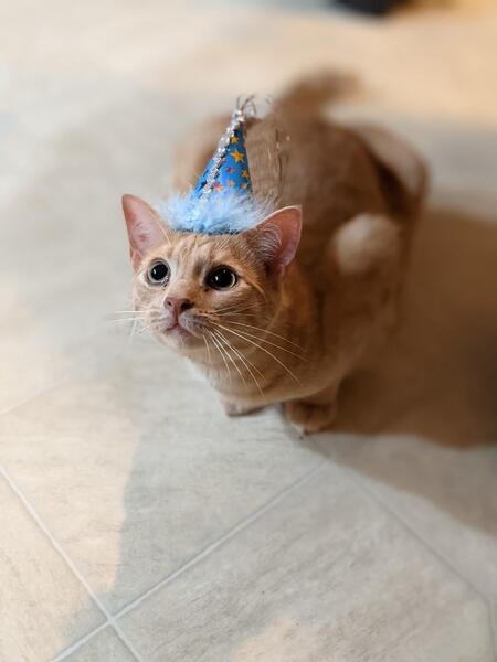 Entry image for Haru. Clicking this image will show a larger photo