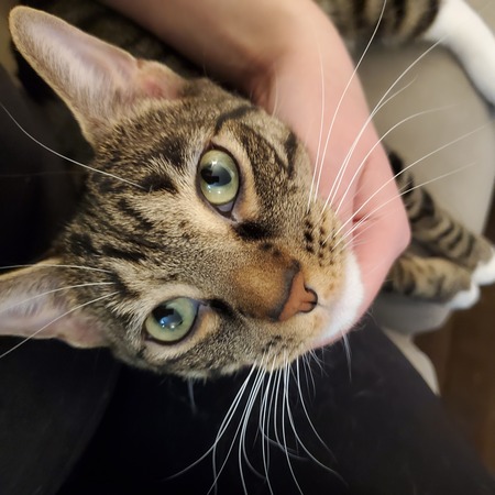 Entry image for Spencer. Clicking this image will show a larger photo