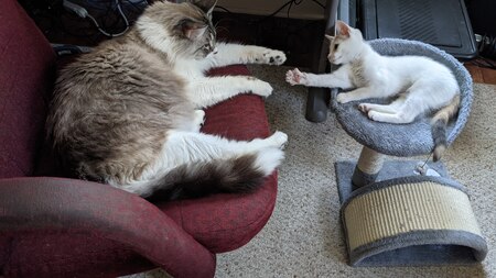 Entry image for Agnes . Clicking this image will show a larger photo