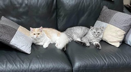 Entry image for Sam and Murray. Clicking this image will show a larger photo